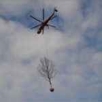Kórejci presadili 1000 stromov, asistencia helikoptéry je u nich bežná