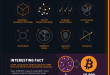 Bitcoin - infografika