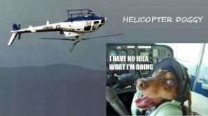 Helicopter doggy: I have no idea what I am doing :-)