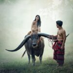 Poplatky v úveroch: skryté položky, ktoré bolia peňaženku