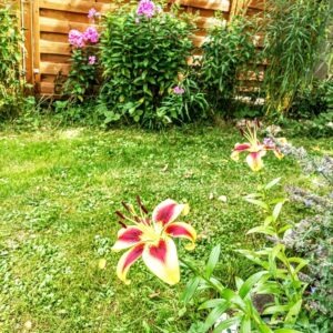 Reputačný manažment a monitoring reakcií