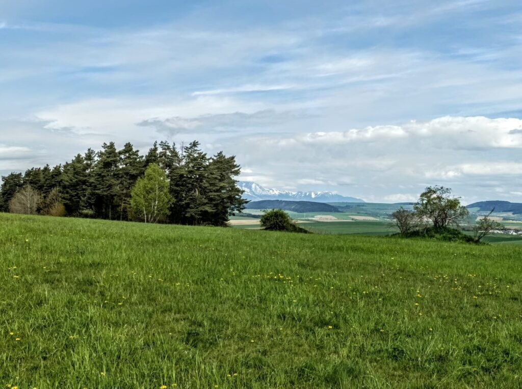 Predikcia konverzií a nákupných vzorcov