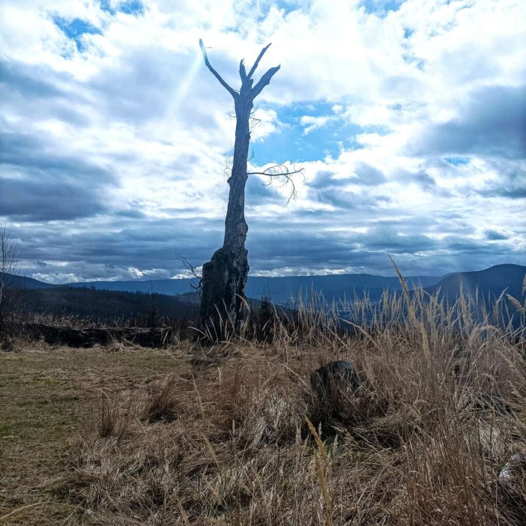 Dynamický remarketing a prispôsobenie obsahu