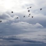 Spolupráca značiek s influencermi v e-commerce