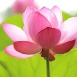 Contextual targeting namiesto cookies