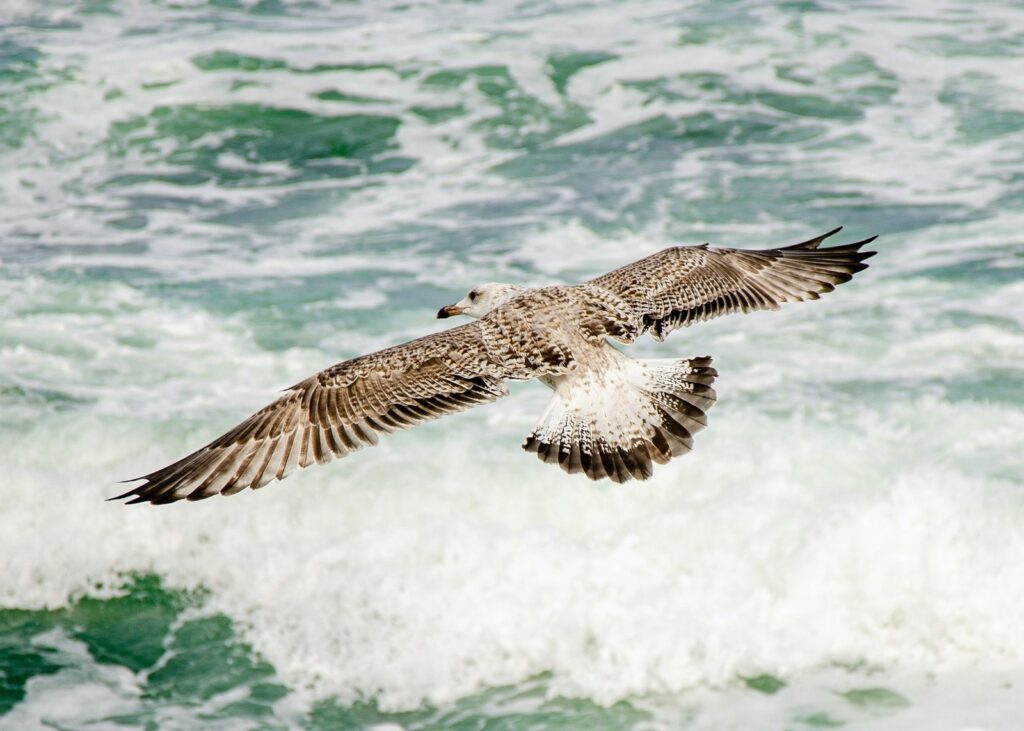 Analytické metódy riešenia problémov