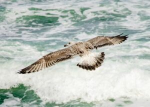 Analytické metódy riešenia problémov