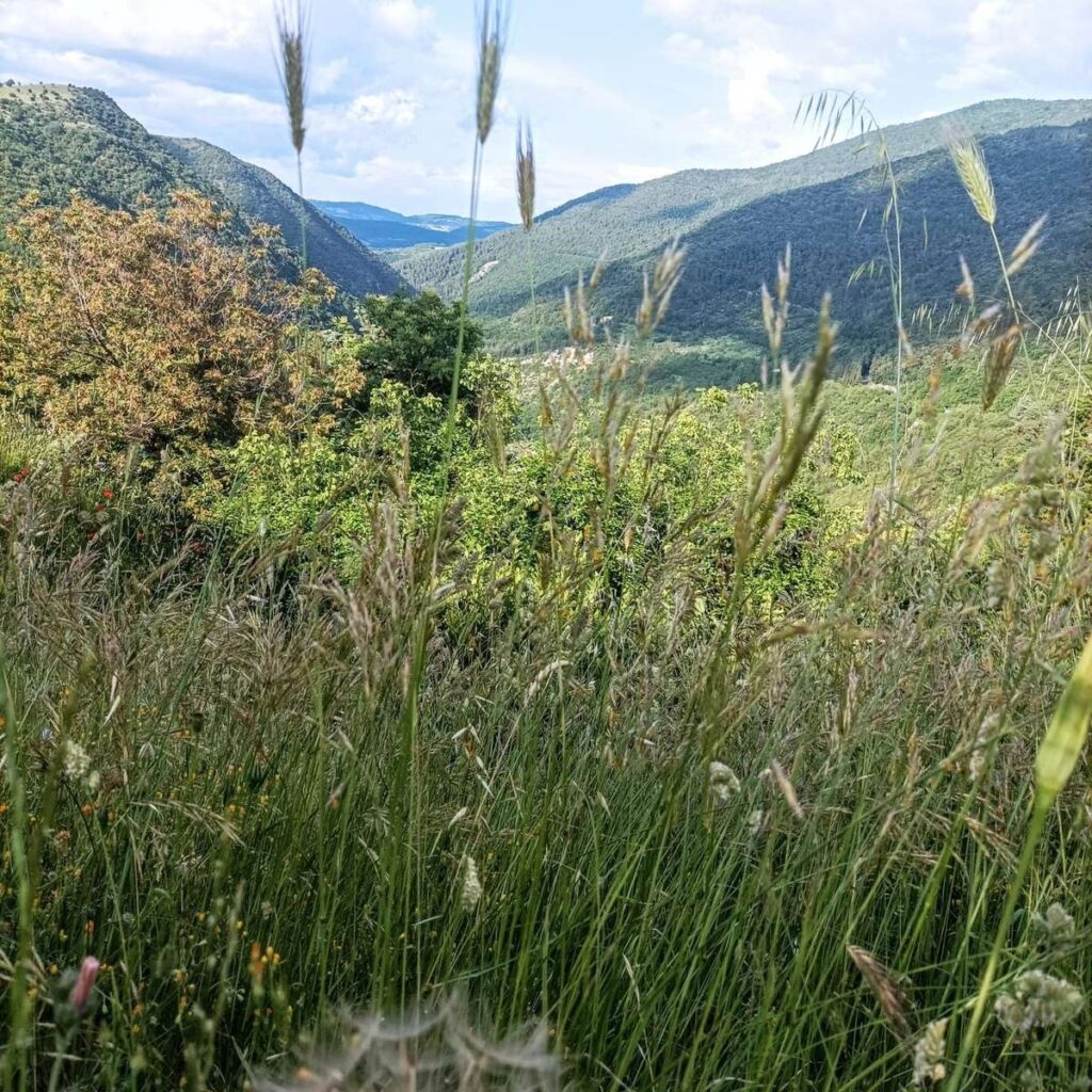 Integrované kampane naprieč kanálmi