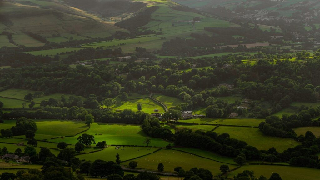 Rozdiel medzi stratégiou a taktikou