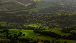 Rozdiel medzi stratégiou a taktikou