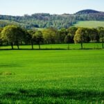 Princípy adaptívneho plánovania