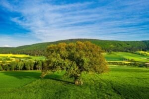 Transformačné a transakčné vedenie