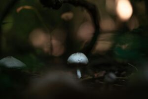 Otázkový prístup v koučovacom štýle