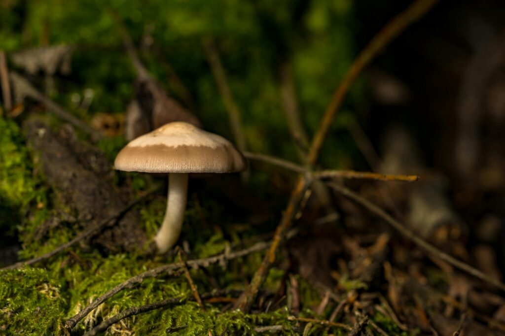 Budovanie rešpektu bez autoritárstva