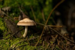 Budovanie rešpektu bez autoritárstva