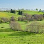 Výber vhodných KPI pre rôzne oddelenia