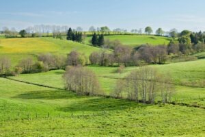 Výber vhodných KPI pre rôzne oddelenia