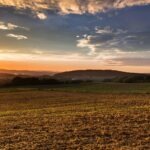 Kontinuálne zlepšovanie kvality (CIP)