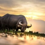 Spolupráca s neziskovými organizáciami