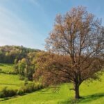 Vyváženie záujmov firmy, zamestnancov a spoločnosti