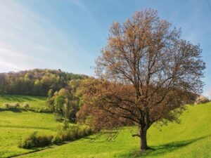Vyváženie záujmov firmy, zamestnancov a spoločnosti