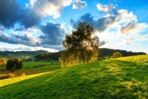 Proces digitálnej transformácie krok za krokom