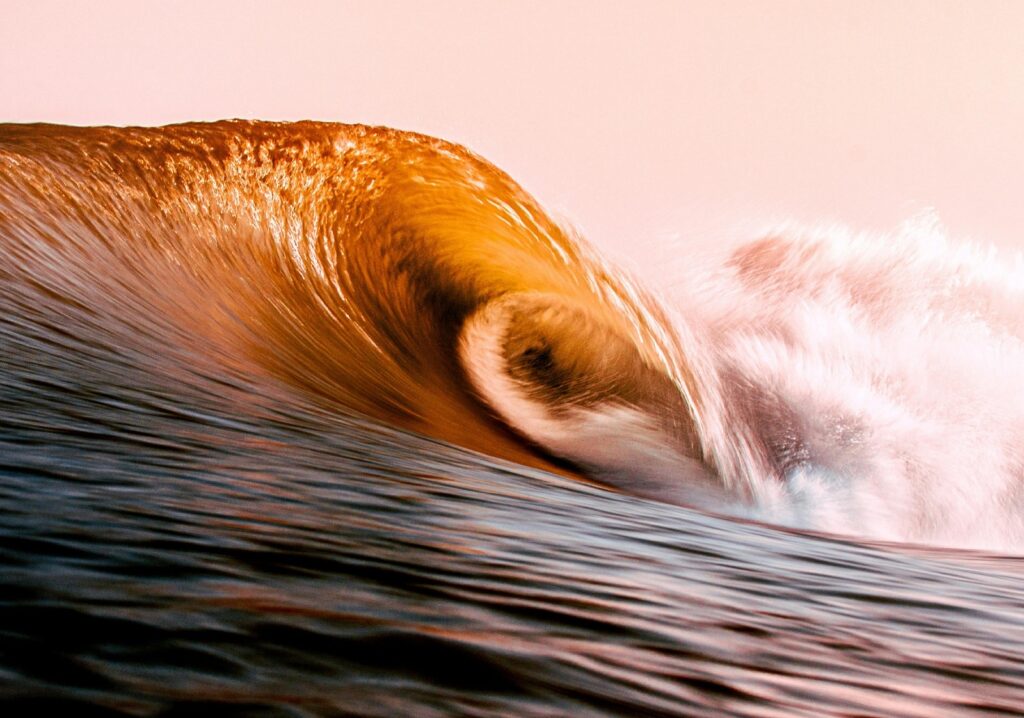Špecifiká riadenia neziskového sektora