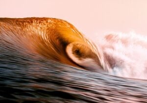 Špecifiká riadenia neziskového sektora