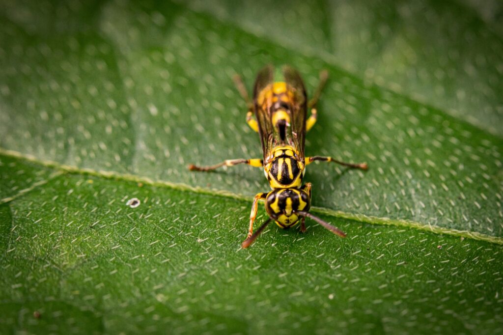 Rozdíl mezi WC pro domácnost a veřejné prostory