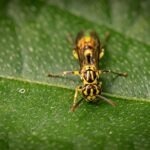 Rozdíl mezi WC pro domácnost a veřejné prostory