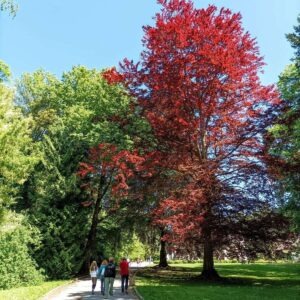 Ako si vybrať estetickú kliniku: checklist dôvery