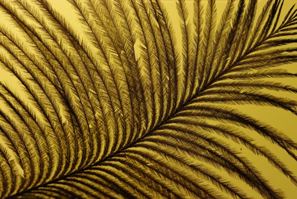 Role pověřence pro ochranu osobních údajů (DPO)