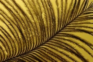 Role pověřence pro ochranu osobních údajů (DPO)