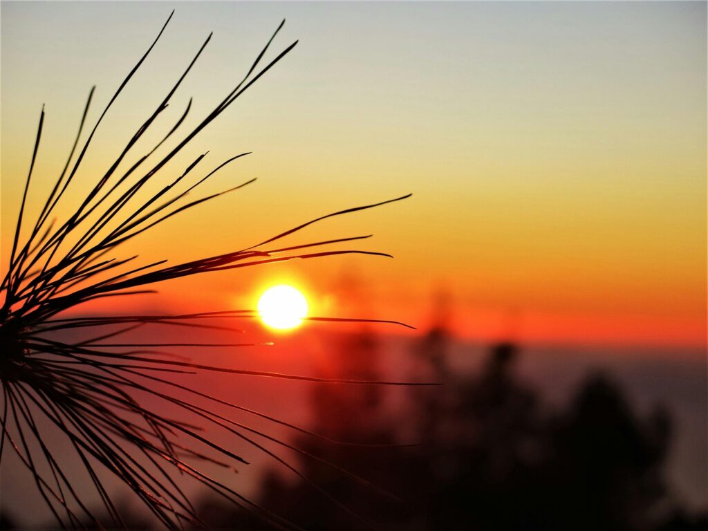 Bezpečnost e-commerce a ochrana dat zákazníků