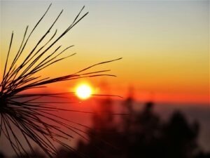 Bezpečnost e-commerce a ochrana dat zákazníků