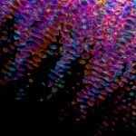 Optimalizace 3D modelů pro hry a web