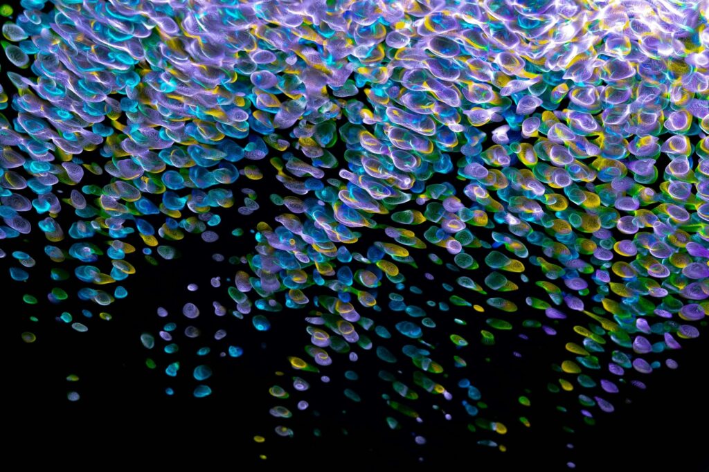 Programování herní logiky a fyziky