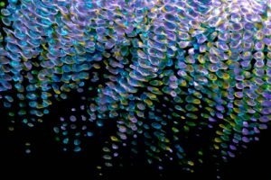 Programování herní logiky a fyziky