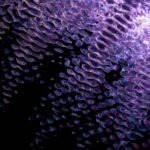 CI/CD pipeline pro cloudové aplikace