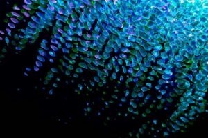 Komunikace mezi službami - REST, gRPC, message queue