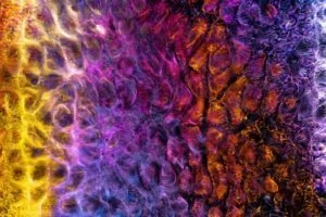 Jak navrhnout bezserverové API