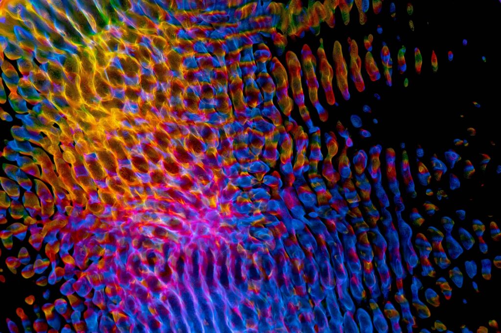 Distribuce obsahu a datové uzly