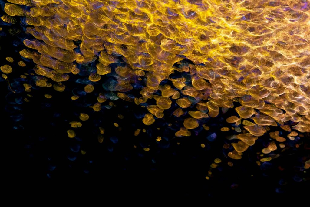 VPN a šifrované tunely v podnikové síti