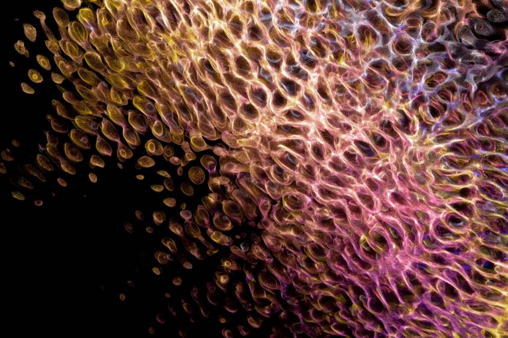 Bezpečnostní pravidla pro správu síťových prvků