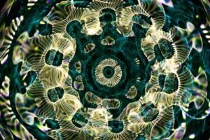 Incident management a service desk