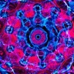 Úloha finančných inštitúcií vo finančnom systéme