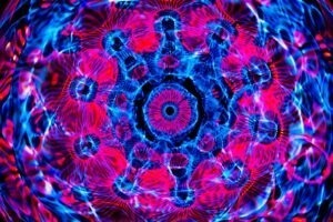 Úloha finančných inštitúcií vo finančnom systéme