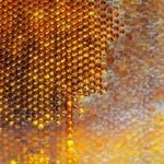 Riadenie rizík a kontrolné mechanizmy