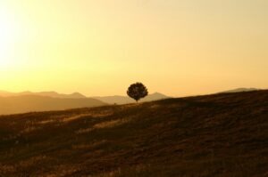 Registre dlžníkov - SRBI, NRKI, CRIF
