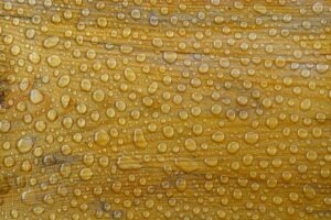 Klasická hudba 18. a 19. storočia